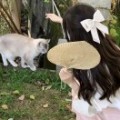 渊汀埖