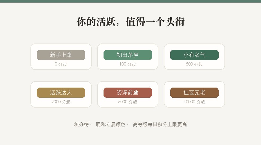 等级体系